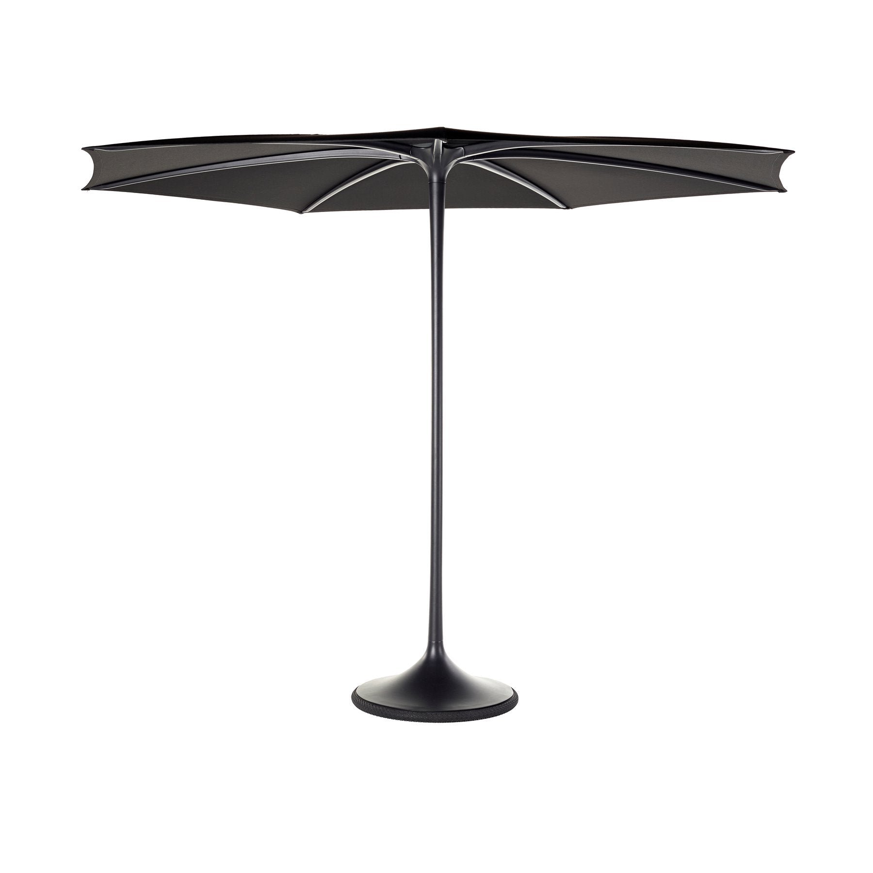 Palma Umbrella